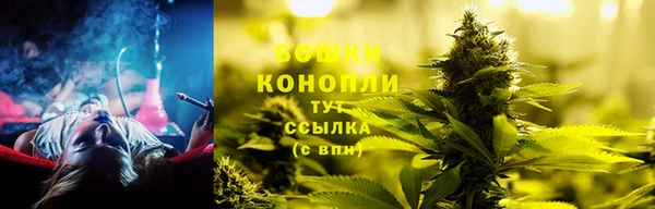 ГАЛЛЮЦИНОГЕННЫЕ ГРИБЫ Алексин