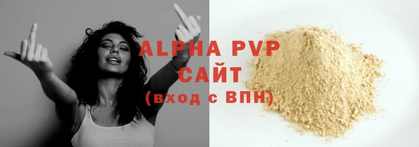 индика Костерёво