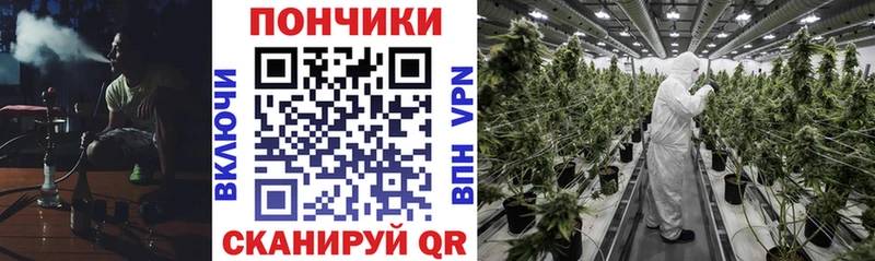 Бошки Шишки план  Хадыженск 